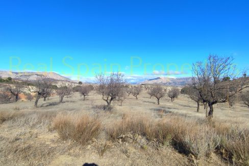 IMG_20230120_120230_InPixio