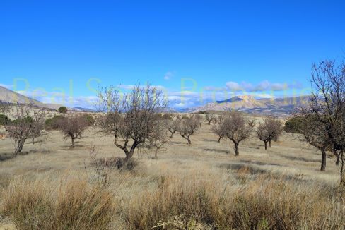 IMG_20230120_120237_InPixio