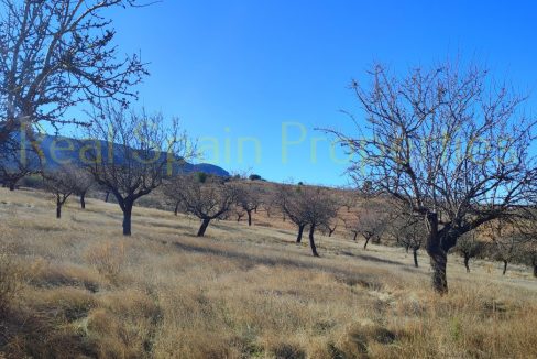 IMG_20230120_120351_InPixio