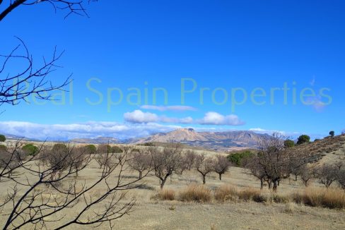 IMG_20230120_120706_InPixio