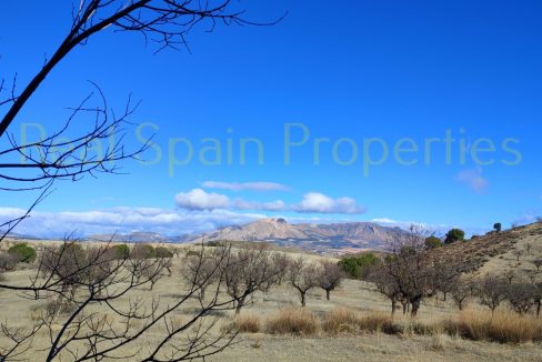 IMG_20230120_120708_InPixio