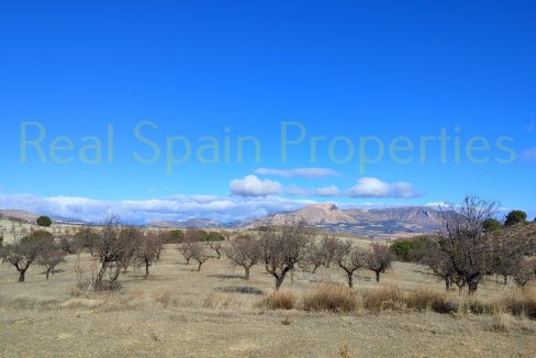 IMG_20230120_120717_InPixio