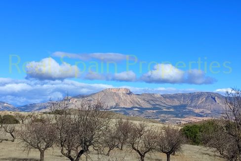 IMG_20230120_120721_InPixio