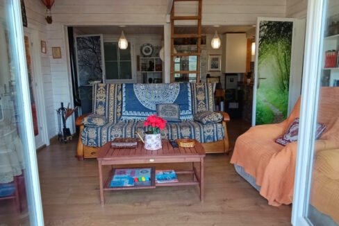 IMG_20250811_095432_InPixio