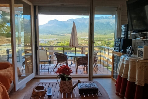 IMG_20250811_095542_InPixio