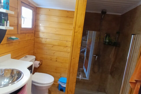 IMG_20250811_095800_InPixio