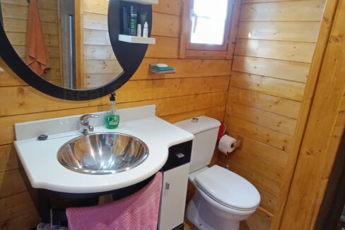 IMG_20250811_095815_InPixio