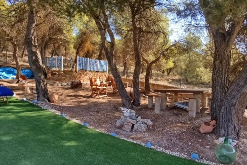 IMG_20250811_102855_InPixio