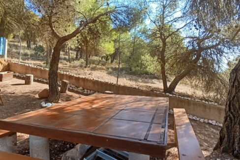 IMG_20250811_102911_InPixio