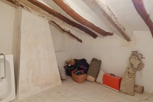 IMG_20250912_101637_InPixio