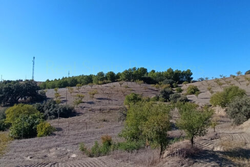 IMG_20250912_101854_InPixio