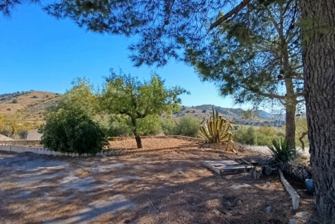 IMG_20250912_101932_InPixio