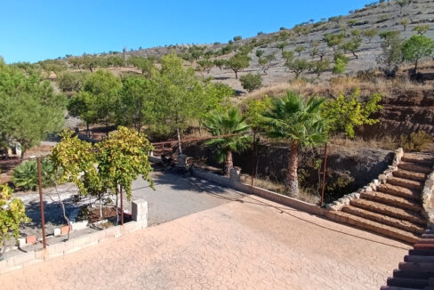 IMG_20250917_105156_InPixio