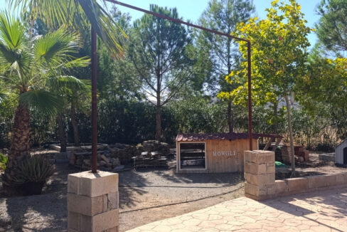 IMG_20250917_112118_InPixio