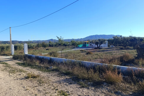 IMG_20251022_173226_InPixio