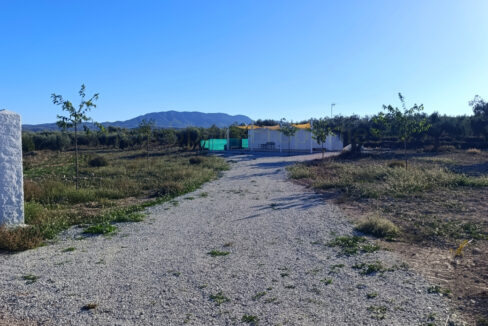 IMG_20251022_173300_InPixio