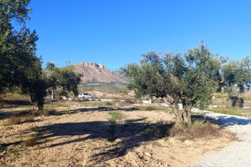 IMG_20251022_173627_InPixio