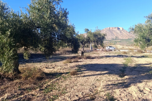 IMG_20251022_173633_InPixio