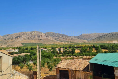 WhatsApp Image 2025-09-03 at 12.06.36 (1)_InPixio