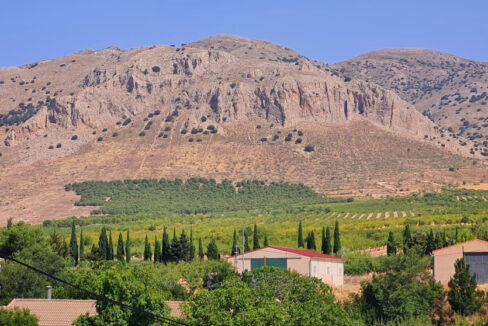 WhatsApp Image 2025-09-03 at 12.06.36_InPixio