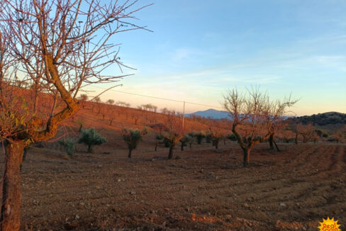 IMG-20251112-WA0012_InPixio