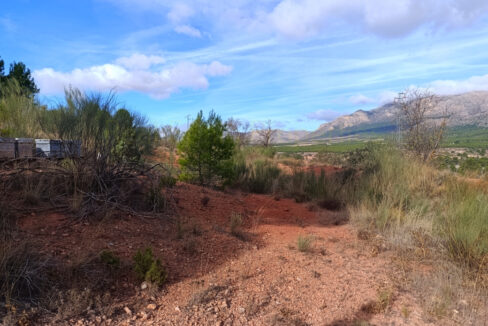 IMG_20251022_103527_InPixio