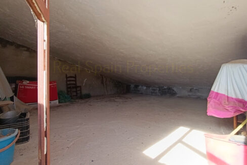 IMG_20251112_124034_InPixio