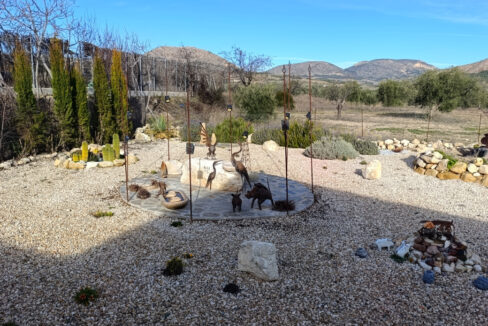 IMG_20260113_105049_InPixio