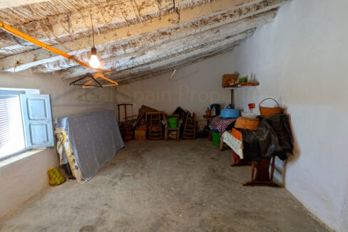 PXL_20260212_112932645_InPixio