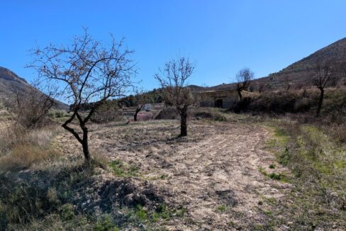 PXL_20260212_115724619_InPixio