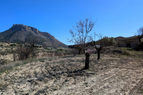 PXL_20260212_115748879_InPixio