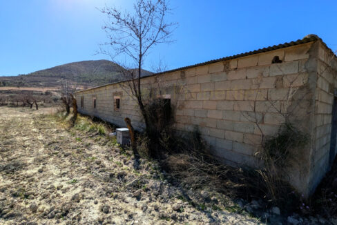 PXL_20260212_120029513_InPixio