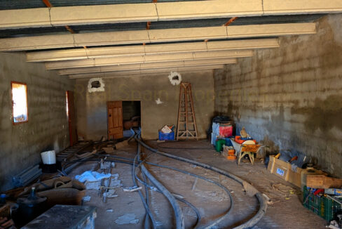 PXL_20260212_120116896_InPixio