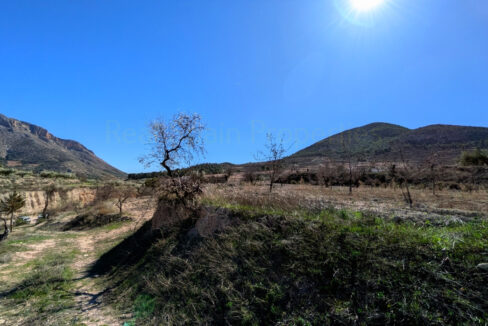 PXL_20260212_120601528_InPixio