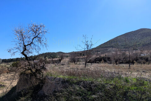 PXL_20260212_120604250_InPixio