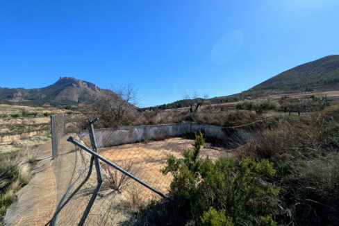 PXL_20260212_120759505_InPixio