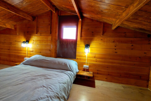 PXL_20260218_104440934_InPixio