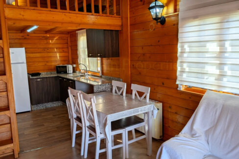 PXL_20260218_104545019_InPixio