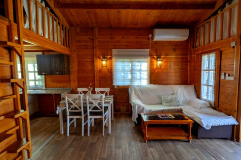 PXL_20260218_104720841_InPixio