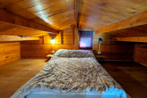 PXL_20260218_104821788_InPixio