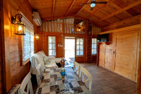 PXL_20260218_104903429_InPixio