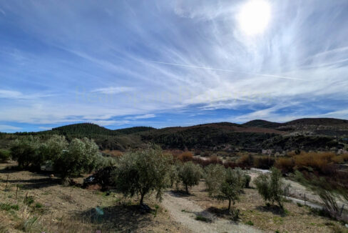 PXL_20260218_110913768.MP_InPixio