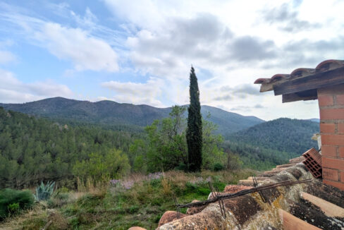 PXL_20260228_143245115.MP_InPixio