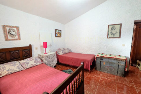 PXL_20260228_143352306.MP_InPixio