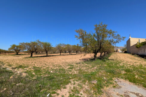 PXL_20260325_104207834.MP_InPixio