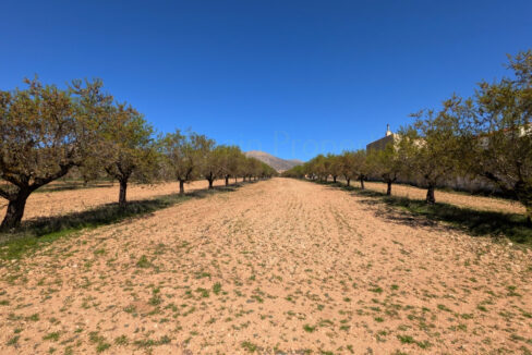 PXL_20260325_104223254.MP_InPixio