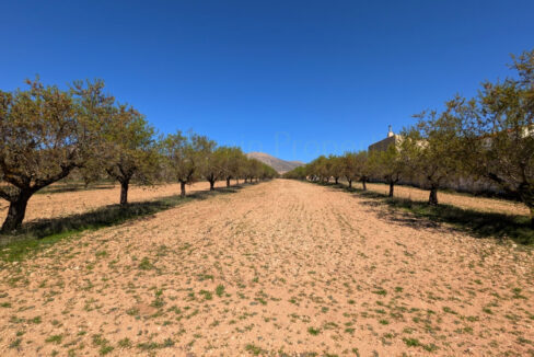 PXL_20260325_104224682_InPixio