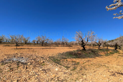 PXL_20260325_110554146.MP_InPixio