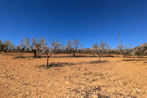 PXL_20260325_110609797.MP_InPixio