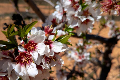 PXL_20260325_110622870.MP_InPixio